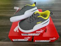 Puma Courtflex Kinder Sneaker Schuhe Gr. 20, 22,23 Brandenburg - Ahrensfelde Vorschau