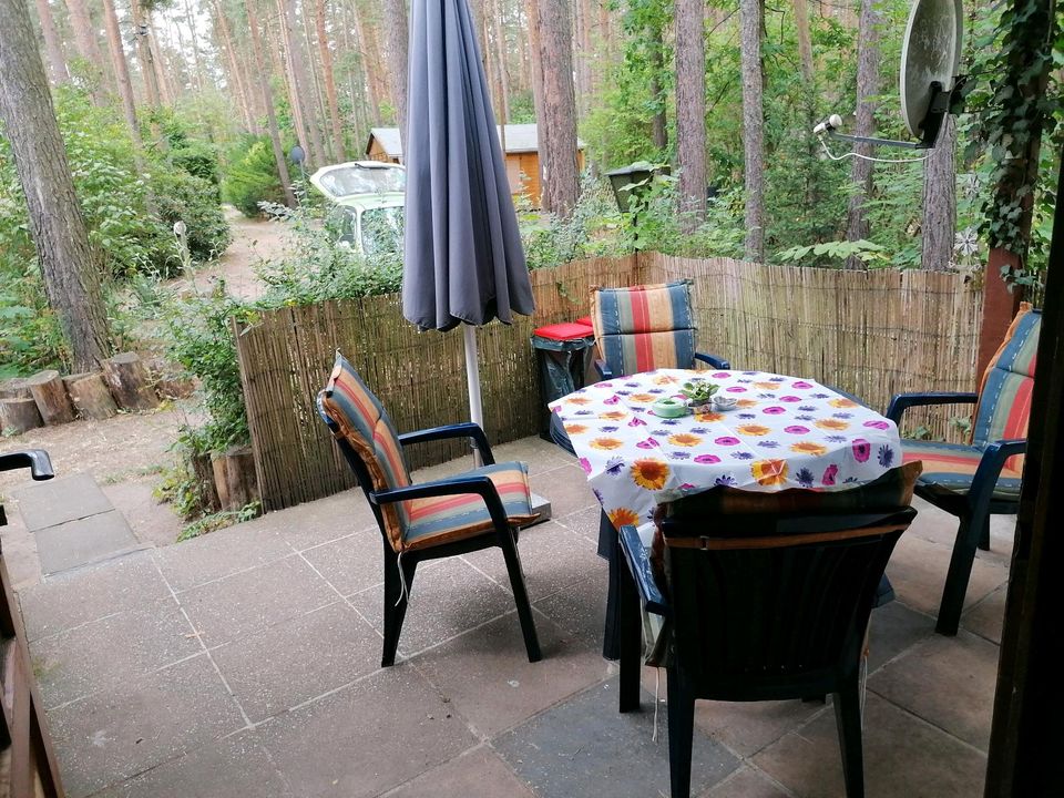 Kleine Waldhütte/ Ferienhaus/ 4 Pers ab 50€ pro Tag in Kemberg