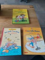 Conni verschiedene Kinderbücher Rheinland-Pfalz - Lahnstein Vorschau