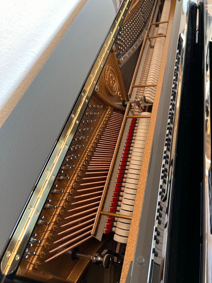 Bechstein Klavier Concert C8 in Stuttgart