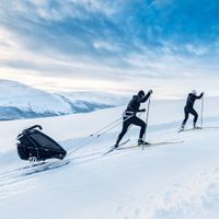 Thule Chariot Ski Set Verleih / Vermietung Langlauf Kind Eimsbüttel - Hamburg Eimsbüttel (Stadtteil) Vorschau