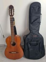 Gitarre Akkustikgitarre Welson Vintage mit Bag Hessen - Borken Vorschau