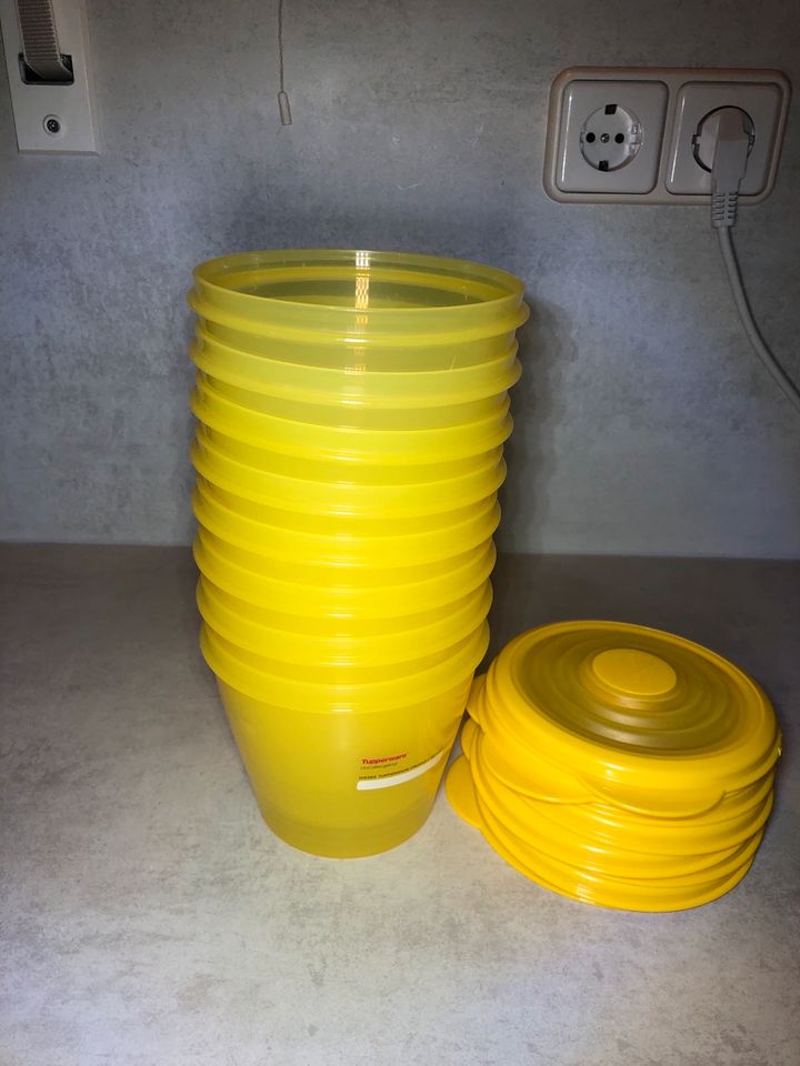 Tupperware Bungee 800 ml, gelb, flexibler Deckel in Minden