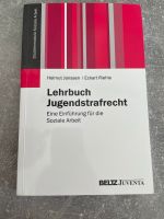 Lehrbuch Jugendstrafrecht Niedersachsen - Wesendorf Vorschau