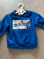 Adidas Pullover Junge Schleswig-Holstein - Flensburg Vorschau