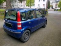 Fiat Panda 1.2 "Automatik" Ideal für Anfänger! Nordrhein-Westfalen - Castrop-Rauxel Vorschau