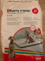 Puppy Trainer Welpenunterlage stubenrein Hessen - Bad Camberg Vorschau