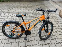 Kinder Fahrrad 24 Zoll Bayern - Obernzell Vorschau
