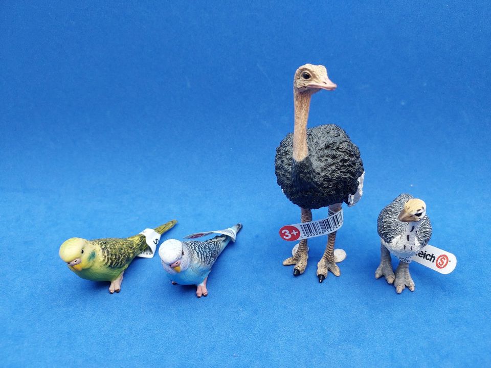 Schleich Vögel mit Fähnchen Adlerjungen Papageientaucher Pelikan in Aalen