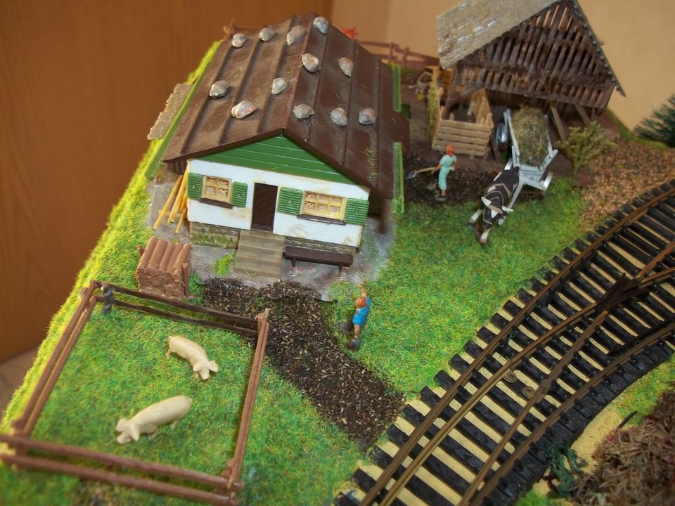 Modelleisenbahn Fertiggelände Noch H0 digital Eisenbahn z21 ROCO in Niederaula