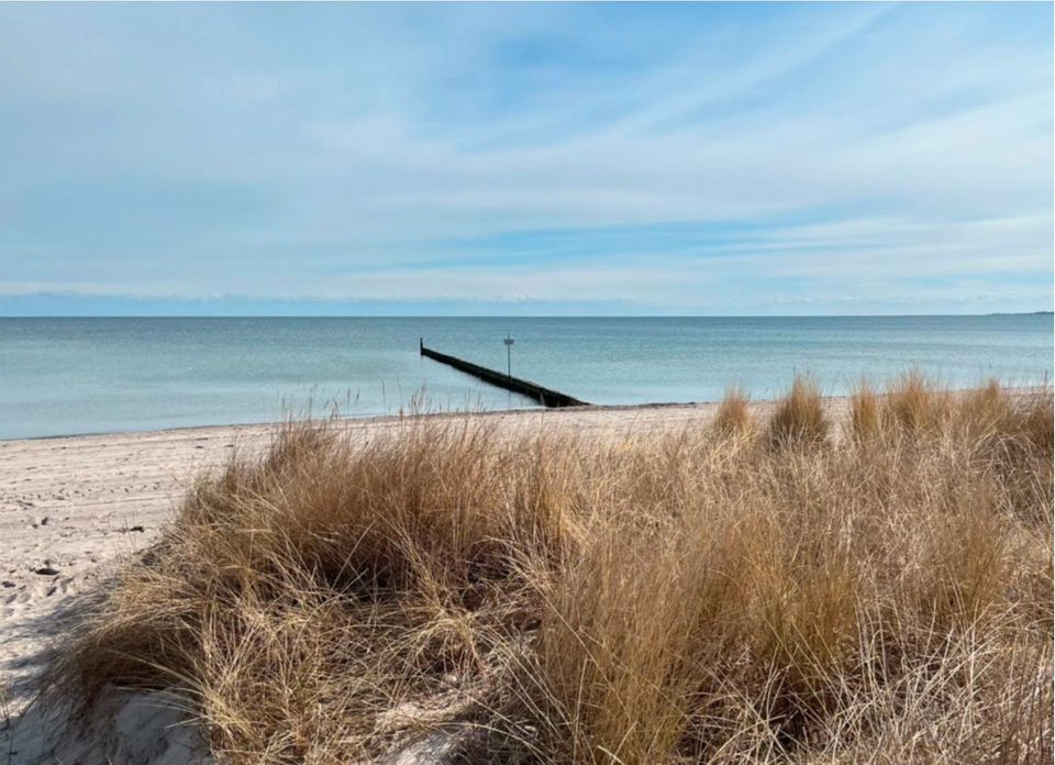 Ferienhaus nur 300m zur Ostsee für  4 - 8 P + Hund in Großenbrode