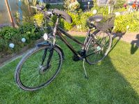 Verkaufe ein 28Zoll Damen Fahrrad Brandenburg - Oranienburg Vorschau