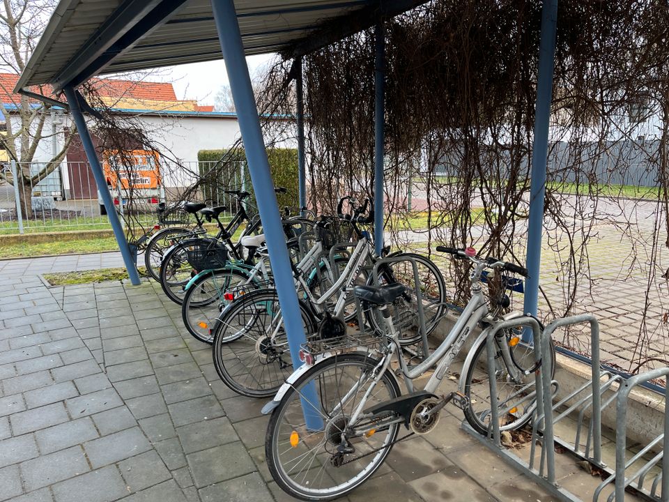 Sehr ruhige und wohnliche Eigentumswohnung am Stadtrand von Halle in Halle