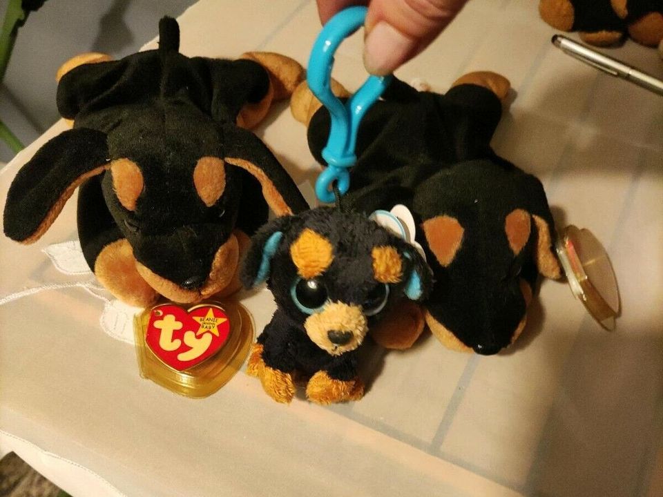 TY Rottweiler Stofftier Beanie original Baby Doby und  TY Tuffy in Marne