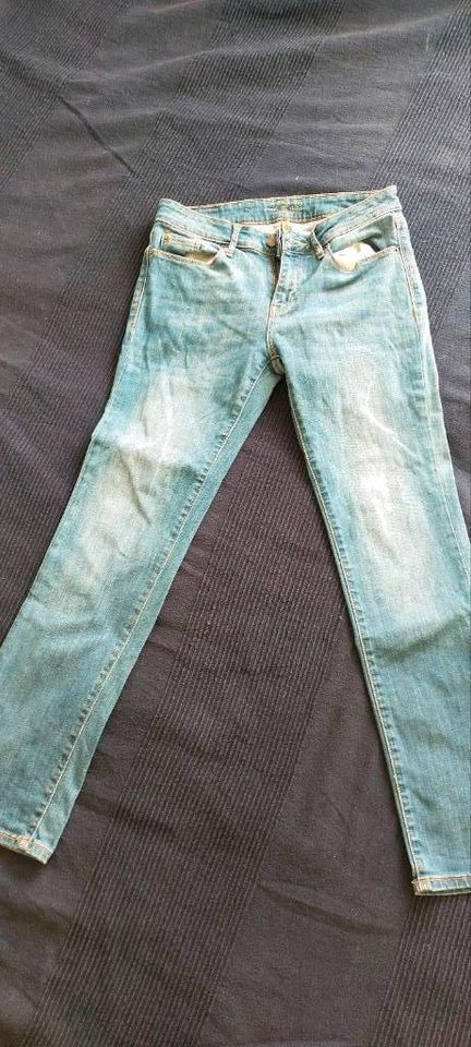 Neuwertige Hosen/Jeans (verschiedene Marken), Anzeige 1 in Limburgerhof