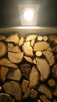 Holzschrank Holz Kaminholz Aufbewahrung Sachsen - Niederwürschnitz Vorschau