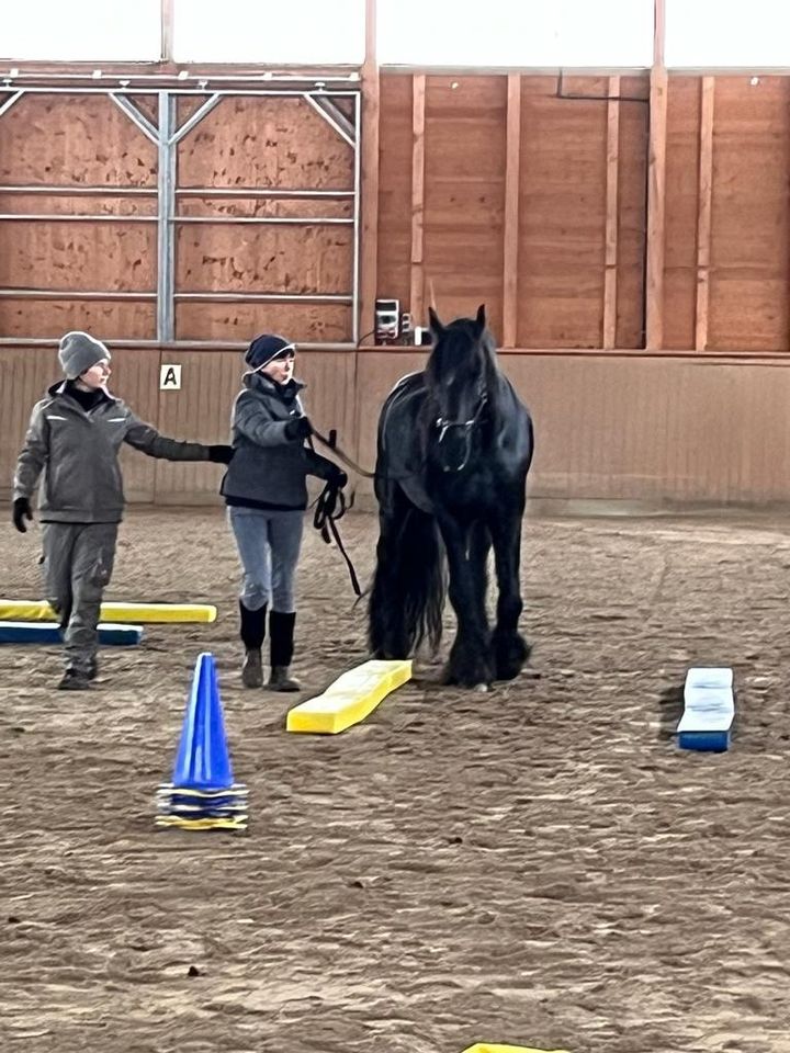 Bodenarbeit Equikinetic DualAktivierung in Arnsberg