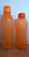 Tupperware Trinkflaschen 750ml und 500ml Bayern - Hammelburg Vorschau