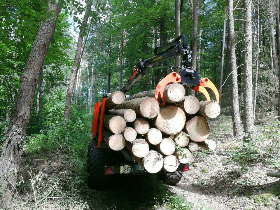 Rückearbeiten Rückewagen Seilwinde Holz Rücken in Schönbrunn