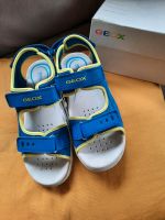 Neu Geox Gr. 37 Sandalen Schuhe mit Karton gleb blau OVP Thüringen - Nordhausen Vorschau