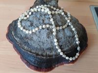 Süßwasser Perlen Kette  neuwertig lang Sylt - Westerland Vorschau