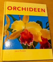 "Orchideen" von Jörn Pinske Bayern - Bad Königshofen Vorschau