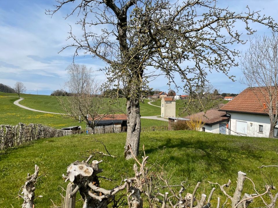 Vermietung Landhaus in Wangen im Allgäu