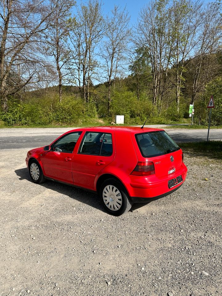 VW Golf 4 1,6 in Marktoberdorf