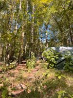 Waldgrundstück Freizeitgrundstück Bushcraft Baden-Württemberg - Kirchentellinsfurt Vorschau