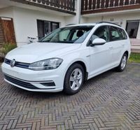 Vw Volkswagen Golf 1,5 tgi Baden-Württemberg - Kornwestheim Vorschau