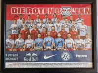 RB Leipzig Mannschaftsbild mit allen Unterschriften 2015/16 Leipzig - Schönefeld-Abtnaundorf Vorschau