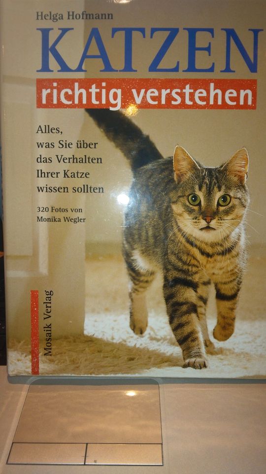 Katzen richtig verstehen.  Helga Hofmann Mosaikverlag 1994 in Oederan