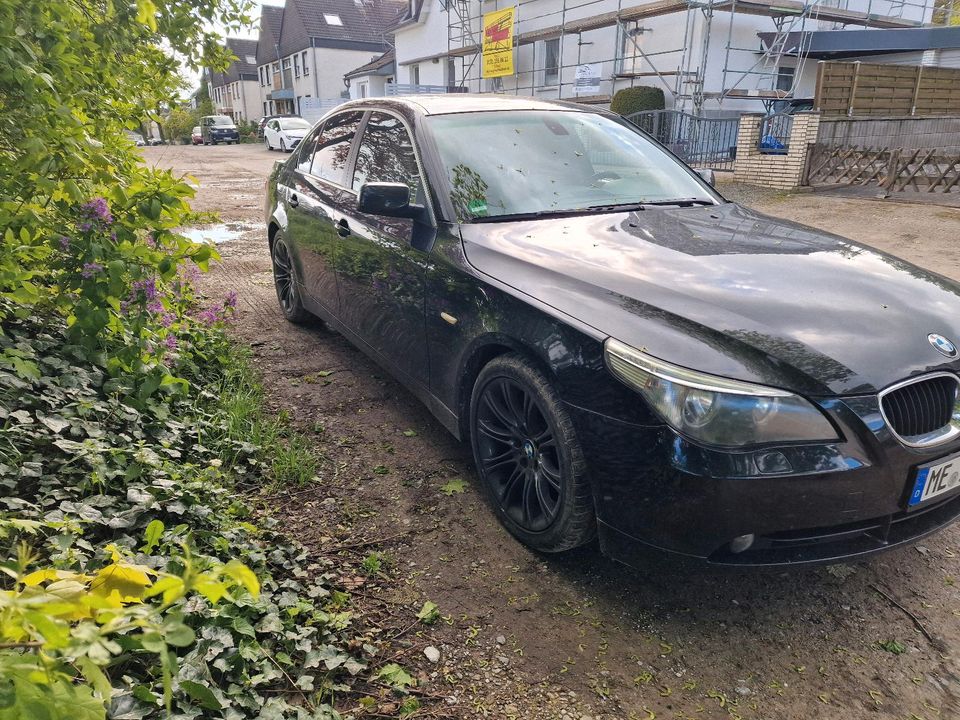 Bmw e60 525i in Velbert