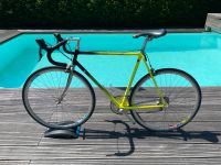 Rennrad ALBUCH KOTTER Ora Rahmen 56mm Shimano 105 Klassiker Essen - Steele Vorschau