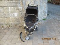 Qinny Buggy Zapp Xtra 2 Bayern - Arnstorf Vorschau