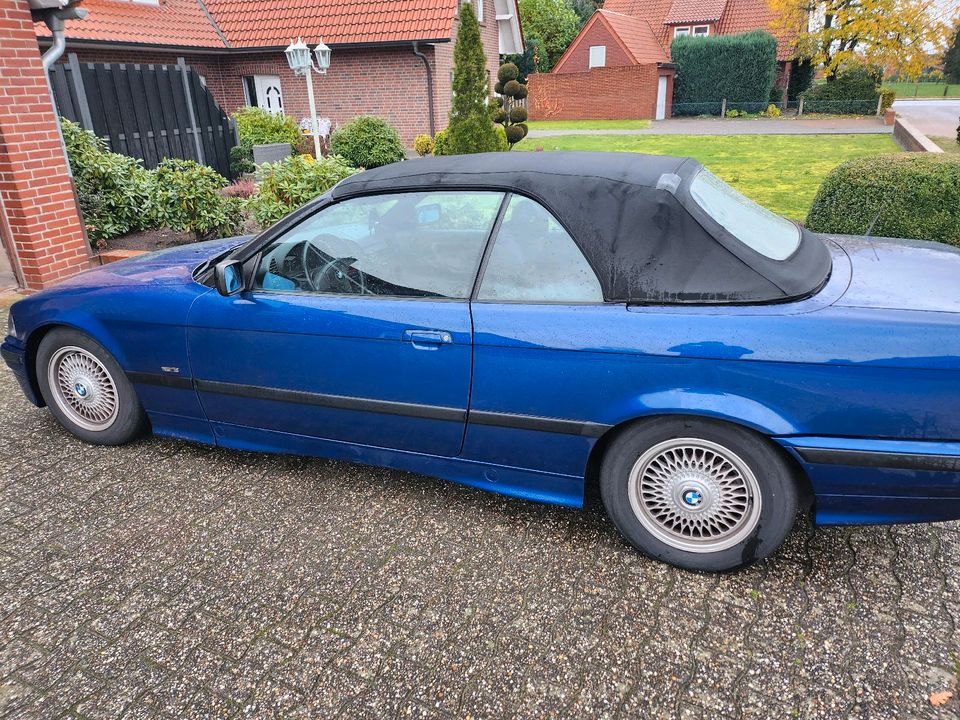 Bmw e36 Cabrio in Lindern (Oldenburg)