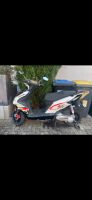 Motorroller Nova Motors Hessen - Bad Vilbel Vorschau