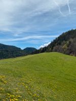 Suchen: Bauernhof Aussiedlerhof Nähe Memmingen gesucht. Bayern - Memmingen Vorschau