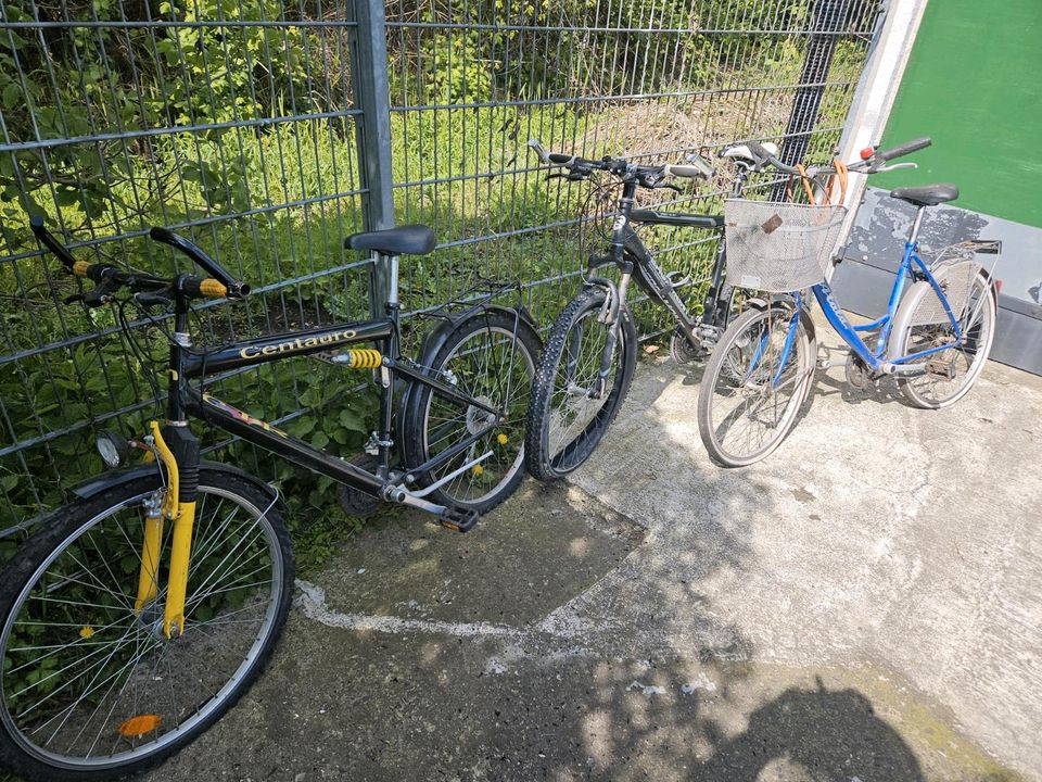 Drei Fahrräder für Ersatzteile in Rostock
