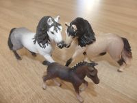 Schleich Pferde Andalousierfamilie (13793, 13821, 13822) Thüringen - Hermsdorf Vorschau