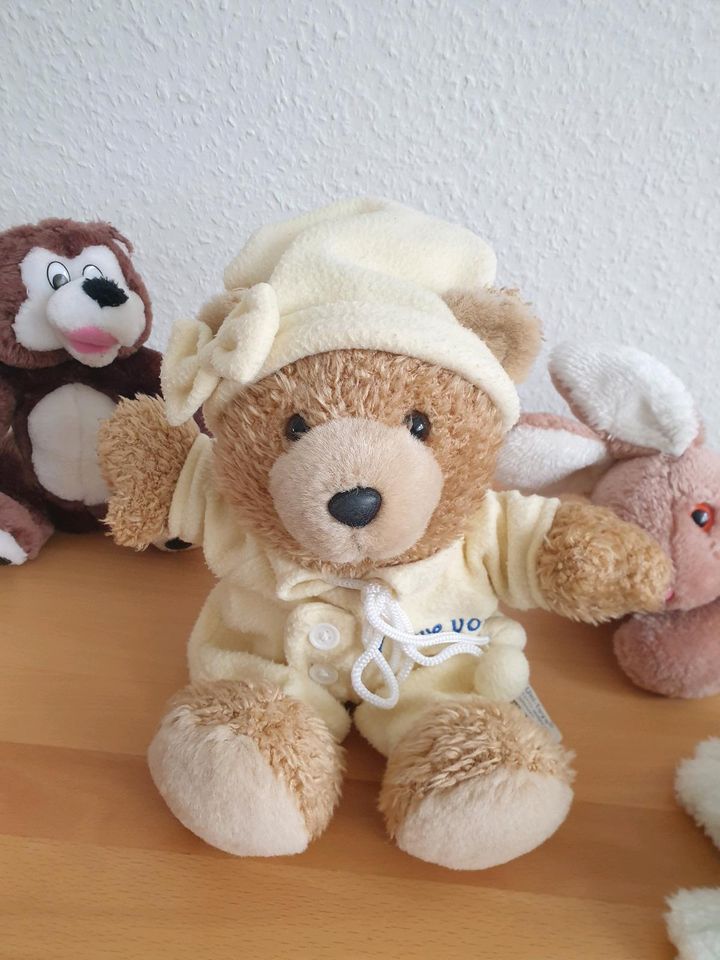 Stofftier, Kuscheltier, Plüschtier - Bär, Teddybär, Frosch in Stuttgart