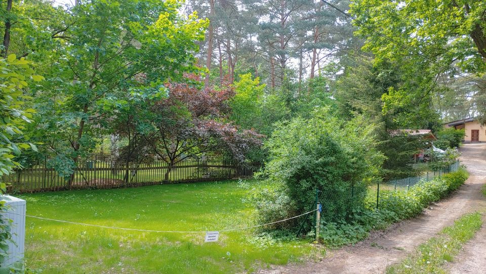 Ruhiges Gartengrundstück in Ferch⭐ Garten Grundstück ✅Erschlossen in Ferch