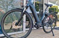 E-Bike*Puch*Bosch Plus*Riemen*500Wh* Münster (Westfalen) - Wolbeck Vorschau