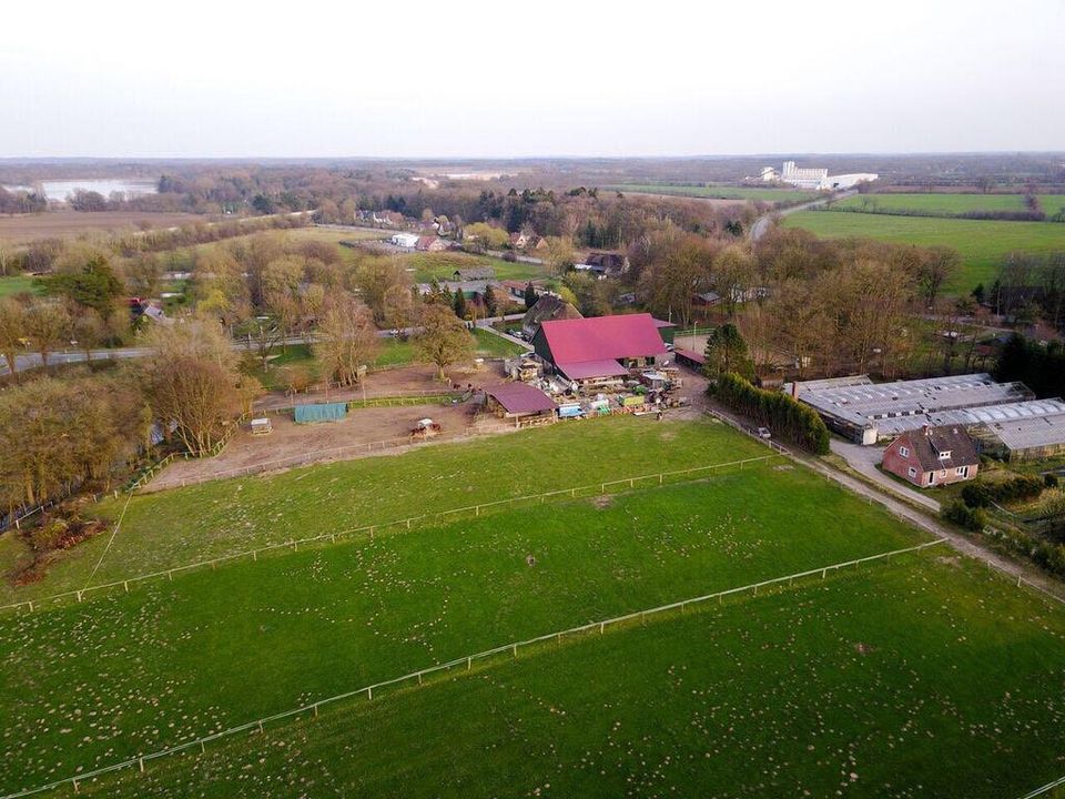 Pferdebox für Wallach in Neumünster