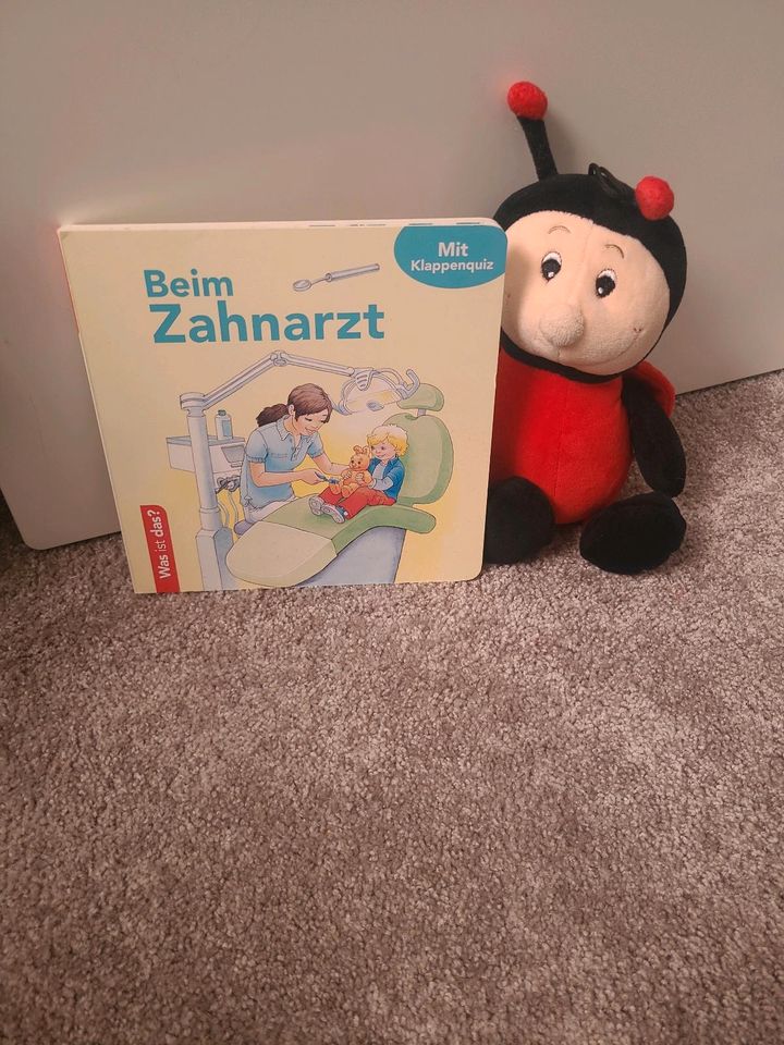 Verschiedene Kinderbücher in Plauen