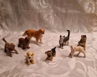 Hunde / Katze / Lamm / Wolf von Schleich Barleben - Ebendorf Vorschau