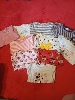 Baby Mädchen Langarmshirt Größe 74 Sachsen-Anhalt - Kemberg Vorschau