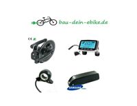 SFM Tongsheng Komplettumbau Kit 48V/750W 120Nm e-Bike Akku 720Wh Nordrhein-Westfalen - Soest Vorschau