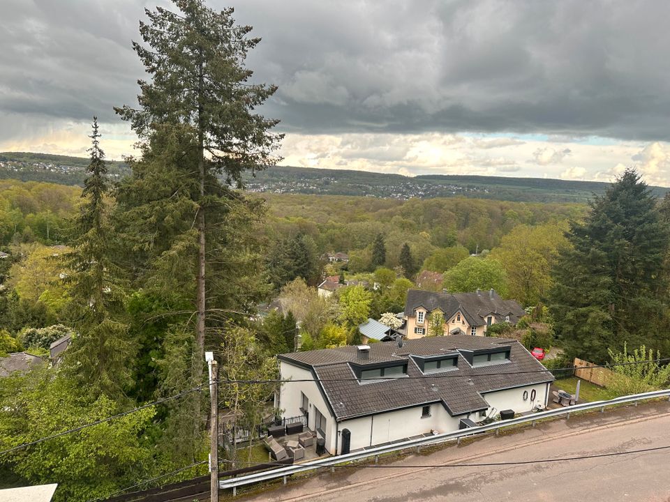Wohnung mit Balkon und Traumhafte Sicht in Alsting/Frankreich zu Vermieten in Saarbrücken