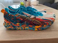 Asics Noosa Tri 13 -neuwertig- Gr.48 EU Hessen - Biblis Vorschau